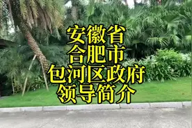 安徽省合肥市包河区政府领导简介#安徽dou知道 #安徽 #合肥视频封面