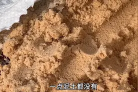 看到美国使用的建材质量，我们应该学习什么？不要仅做表面文章视频封面