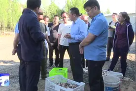 岚县：乔云在东村镇、顺会乡调研视频封面