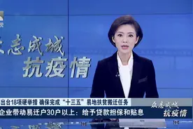 湖北出台18条硬核举措 确保打赢十三五易地扶贫搬迁收官战视频封面