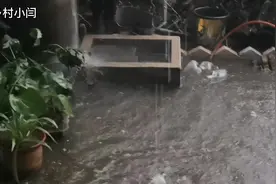 河北突降特大暴风雨，院子积满雨水灶台被冲，可把小闫急坏了视频封面