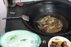 农村老王头：越冬池捞1桶臭鱼，回家炖了一大锅，竟比活鱼还鲜嫩