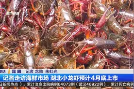 记者走访海鲜市场 湖北小龙虾预计4月底上市视频封面
