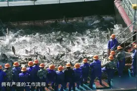 航拍中国2：浙江千岛湖，巨网捕鱼太机智，场面壮观再看亿遍！视频封面