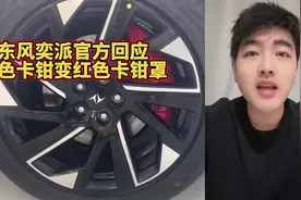 东风奕派官方回应红色卡钳变红色卡钳罩
#东风奕派007 #卡钳罩视频封面